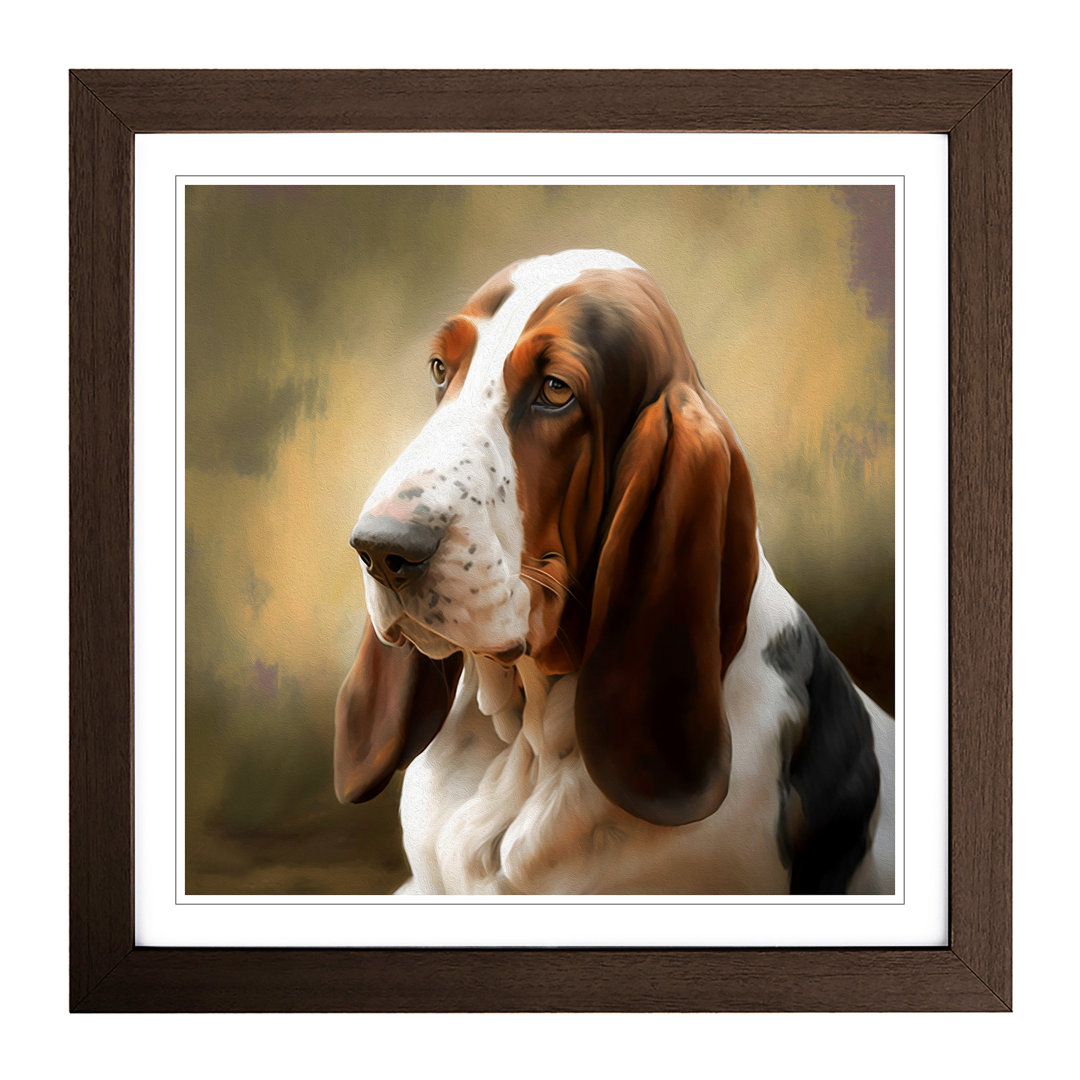 Basset Hound Digital Art - Framed Print
