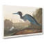 Blue Heron by John James Audubon - Wrapped Canvas-55370976