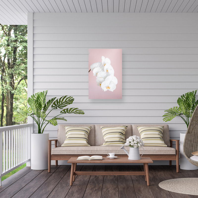 Orchidée bolognaise 2 sur impression sur toile, H 47 po x l 30 po