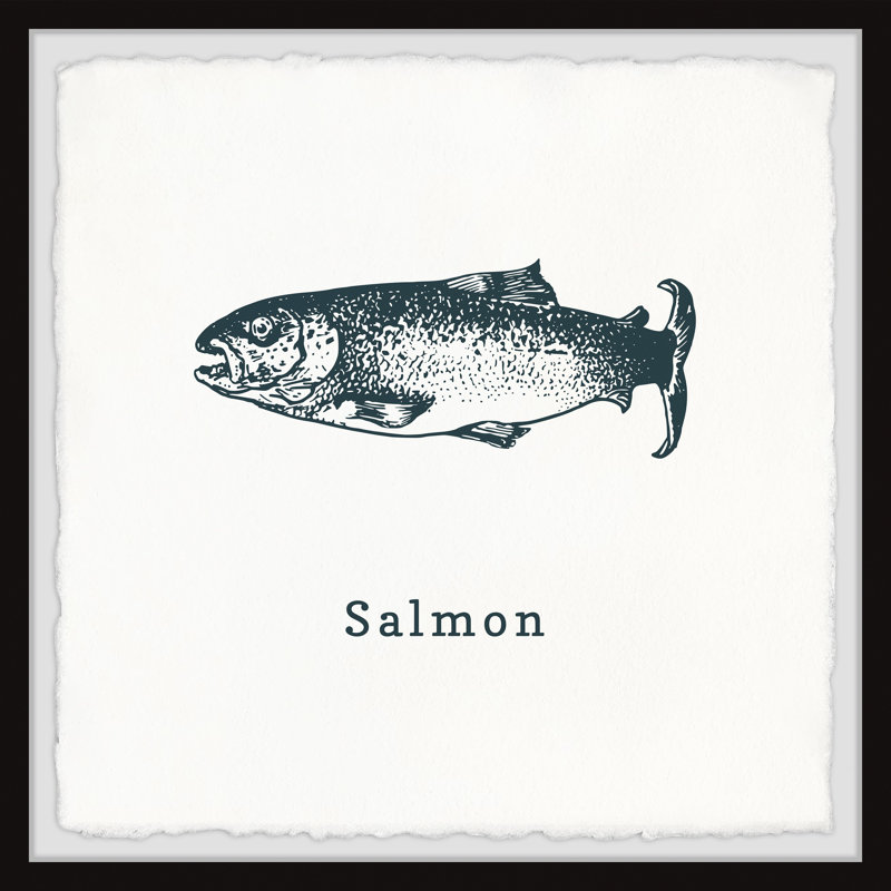 Tenterden Anchovy And Salmon D by Marmont Hill - Single Picture Frame Painting