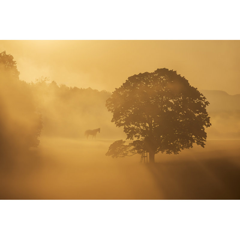 «Autumn Morning» par Ilona, H 48 po x l 72 po