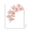 34,5 po vaporisateur de phalaenopsis -1803074071