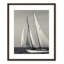 Amaryl Fair Wind par Danita Delimont - reproduction de photo encadrée-59881938-59881932