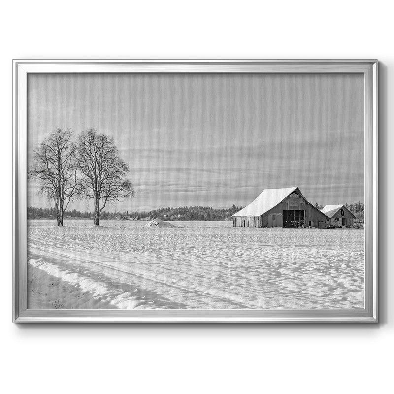 " Solitude ", Silver, 14" H x 20" W x 1.5" D