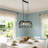 3 - Light Birds Cage Dimmable Chandelier