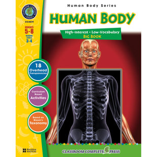 Human Body Big Book