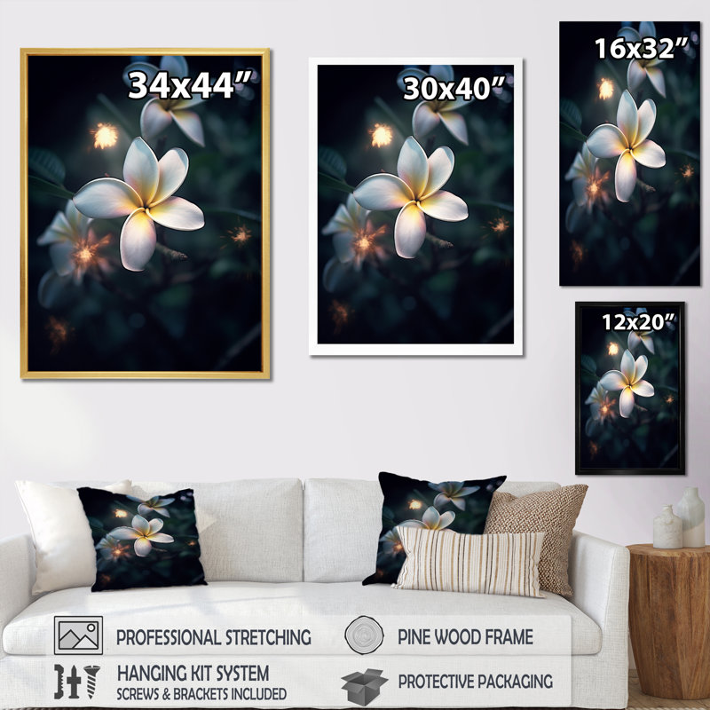 Blanc plumeria symphonie magique II, Cadre simple blanc, H 32 po x l 16 po x P 1 po