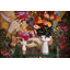 Eva Ceramic / Porcelain Table Vase-2076067403