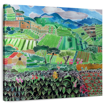 Nicci Cabbages And Lilies Solola Region Guatemala