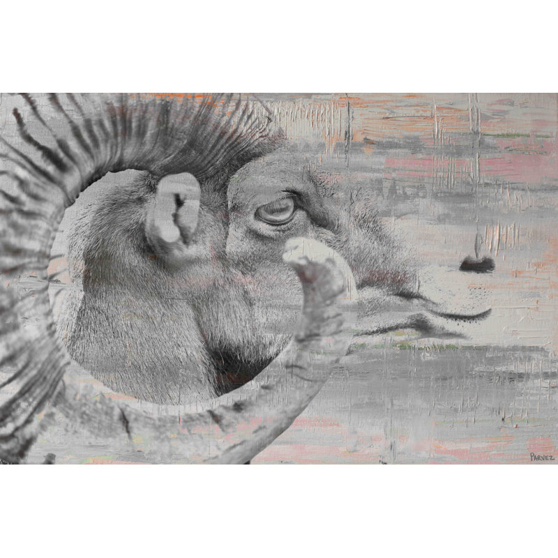 Parvez Taj - Wrapped Canvas Print, 41cm H x 61cm W