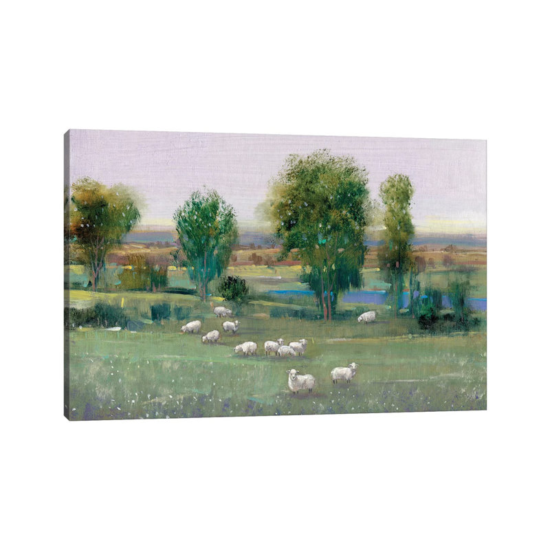 Field Of Sheep I by Tim OToole - Wrapped Canvas Painting, 20.32 cm H x 30.48 cm W