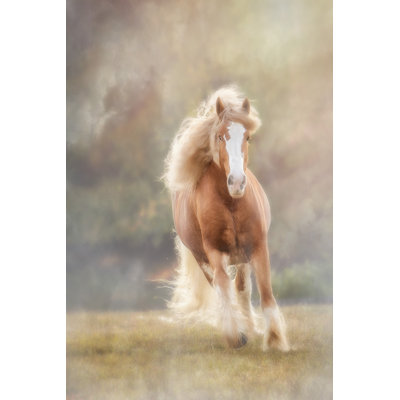 Horse Motion VII