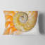 Coussin de coquillage isolé nautilus-28528957