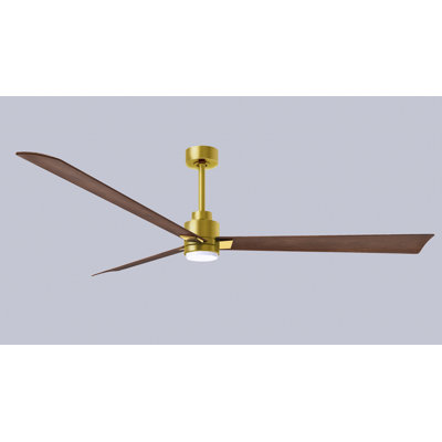 Alessandra - Three Blade Transitional Ceiling Fan -LED