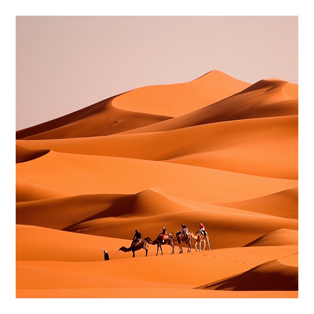 Strukturierte Tapete Namib Desert