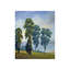 Vista View Print by Timothy O' Toole-26948746-26948751