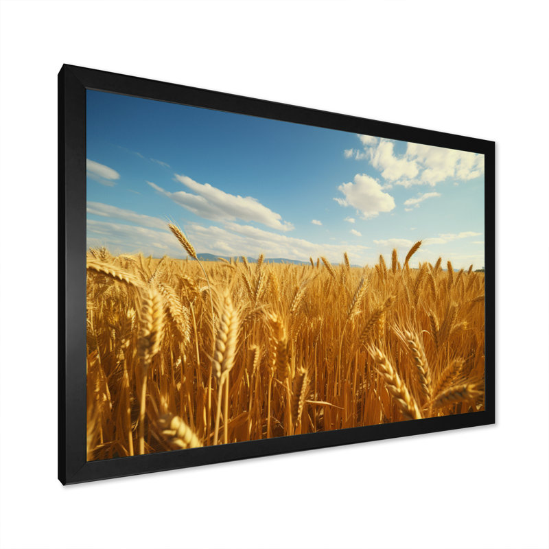 Champ français doré de Bretagne II - reproduction, Cadre simple noir, H 34 po x l 44 po x P 1,5 po