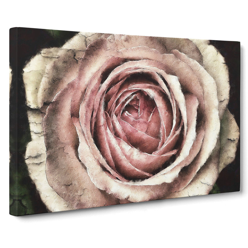 Pink Rose Flower Vol.3 - Wrapped Canvas, 50cm H x 76cm W x 3cm D