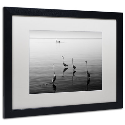 « 4 herons et bateau », reproduction de photo encadrée