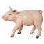 Porcelet cochon, sculpture de bébé cochon