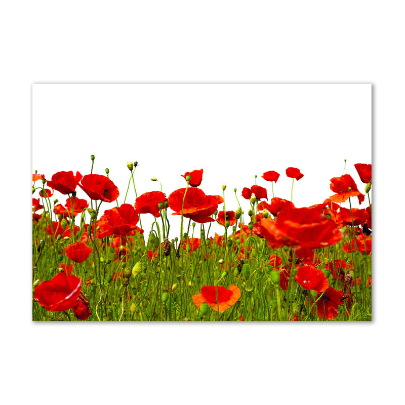 Field Poppies - Wrapped Canvas Print