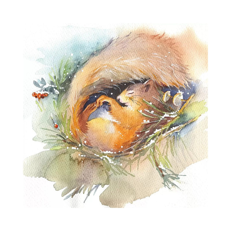 Sleeping Squirrel by Marina Ignatova - Wrapped Canvas Painting, 66.04 cm H x 66.04 cm W x 3.175 cm D