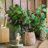 Nairobi Pot Planter-90825230