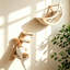 Ensemble de hamac pour chat