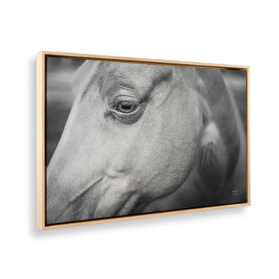 Willow by Nathan Larson Canvas Art Print
