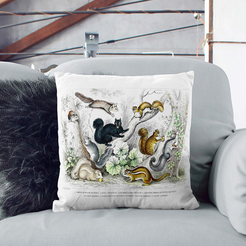 Collection Of Squirrels Square Throw Cushion, 40 x 40 cm