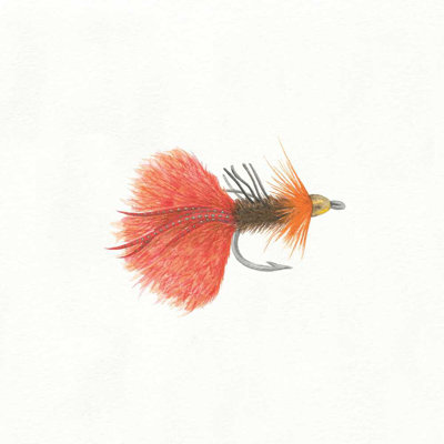 Gone Fishin 8