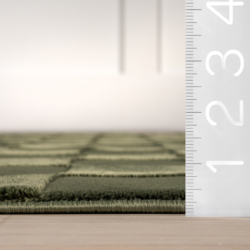 Alaiya Checkered Machine Washable Area Rug, Rectangle 2' x 3'