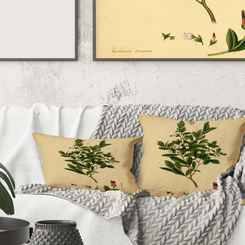 Vintage Plant Life XXV - coussin traditionnel imprimé, 16" x 16"