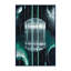 Tapis Nova Radiance-461998220