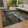 Chayil Area Rug with Non-Slip Backing