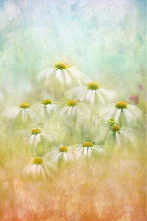 Wrapped Canvas Print, 60.96cm H x 91.44cm W