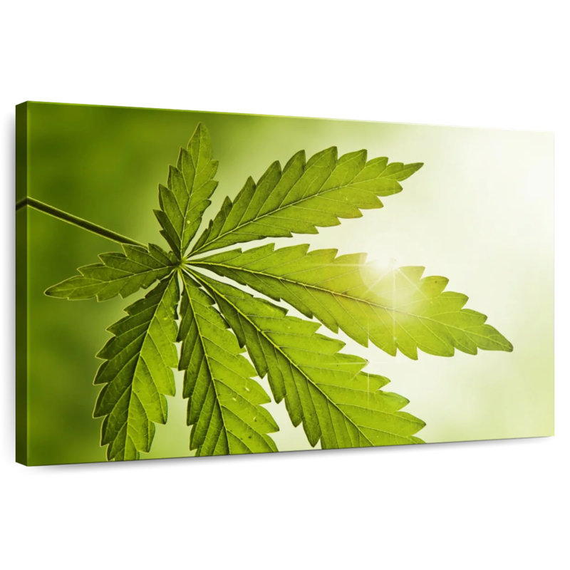 Lever de soleil de la marijuana, 8" H x 12" W