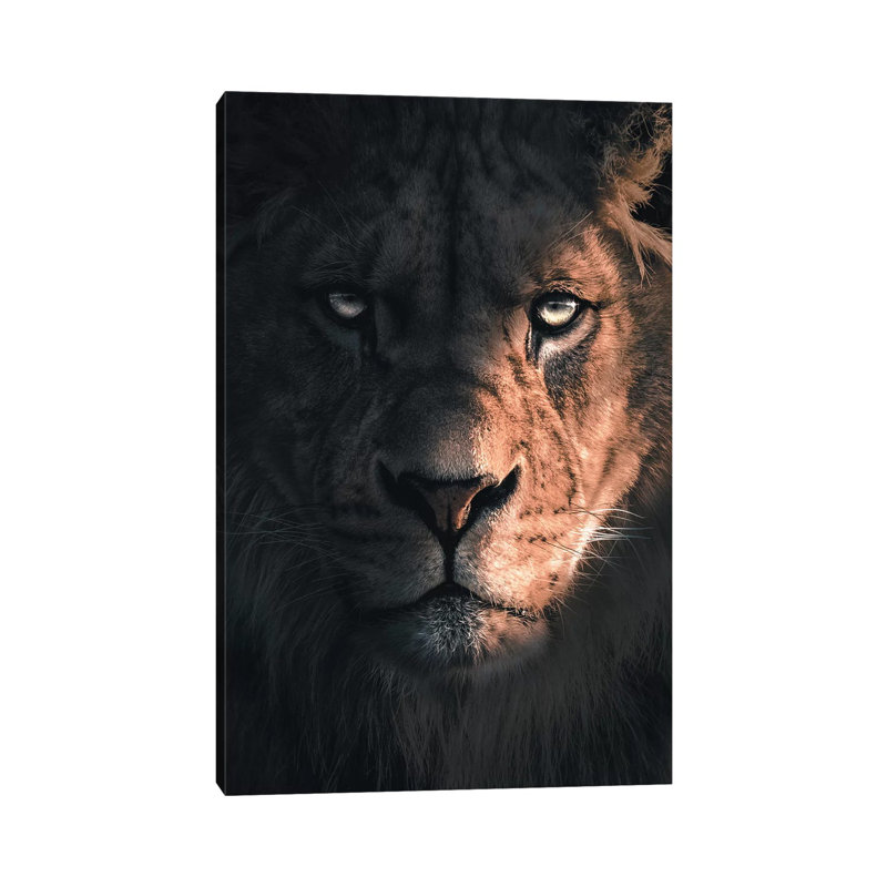 Lion Portrait by Zenja Gammer - Print on Canvas, Wrapped Canvas, 30.48 cm H x 45.72 cm W
