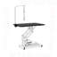Table de toilettage pour animaux