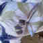 Photos des clients 2 de 2