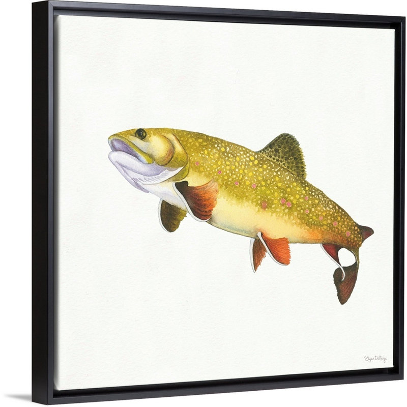 " Gone Fishin Brookie " Painting Print, 32" H x 32" W x 1.75" D, Black Floater Framed