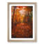 Autumn Forest Pathway in Abstract - Framed Print-55456918-55456922