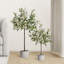 Arbre à olives en pot 28 po avec pot de ciment Avena Avena-499736315