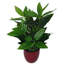 70cm Faux Plant in Pot Liner