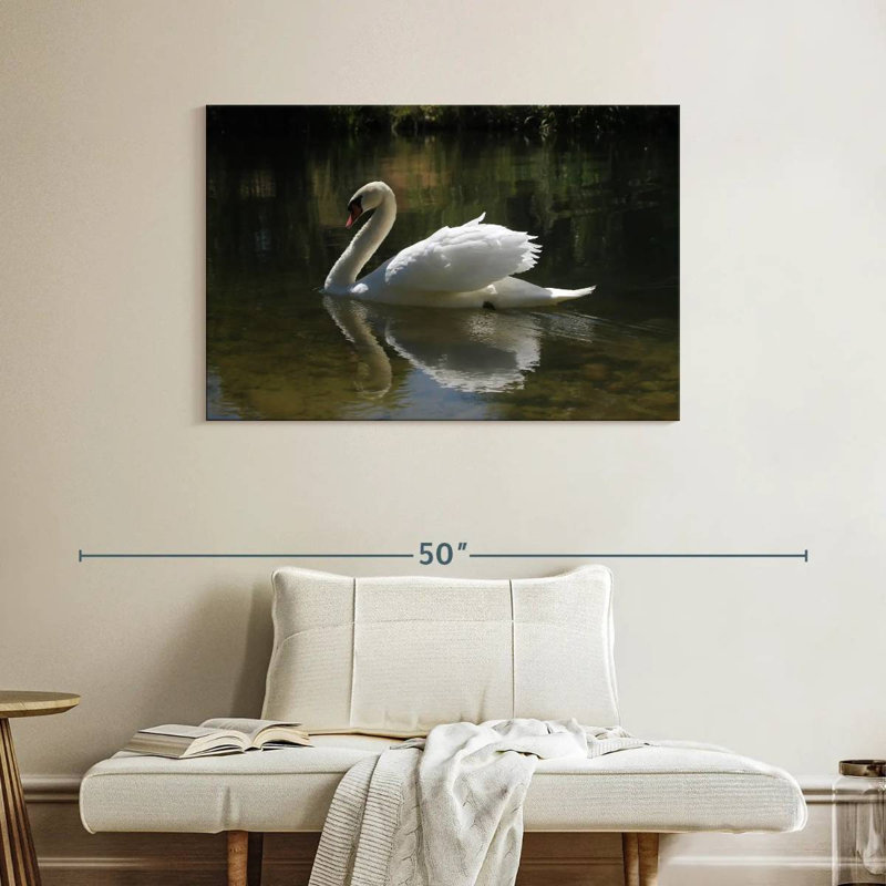 Swan Lake Reflection, 26" H x 39" W