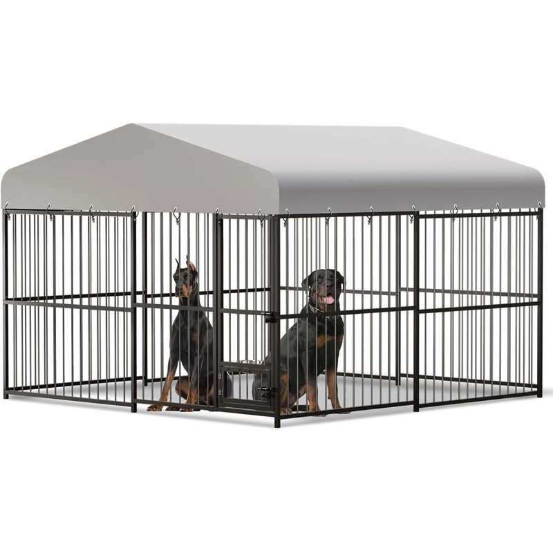 Dog House