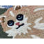 Tapis de cuisine Maxyne