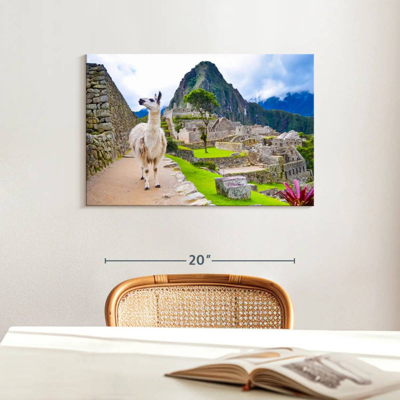 Brampt Peru Llama, 16" H x 24" W