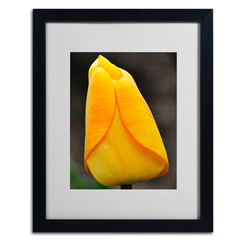 Perfect Yellow Tulip Matte Framed Canvas Print, 20 x 16 inches