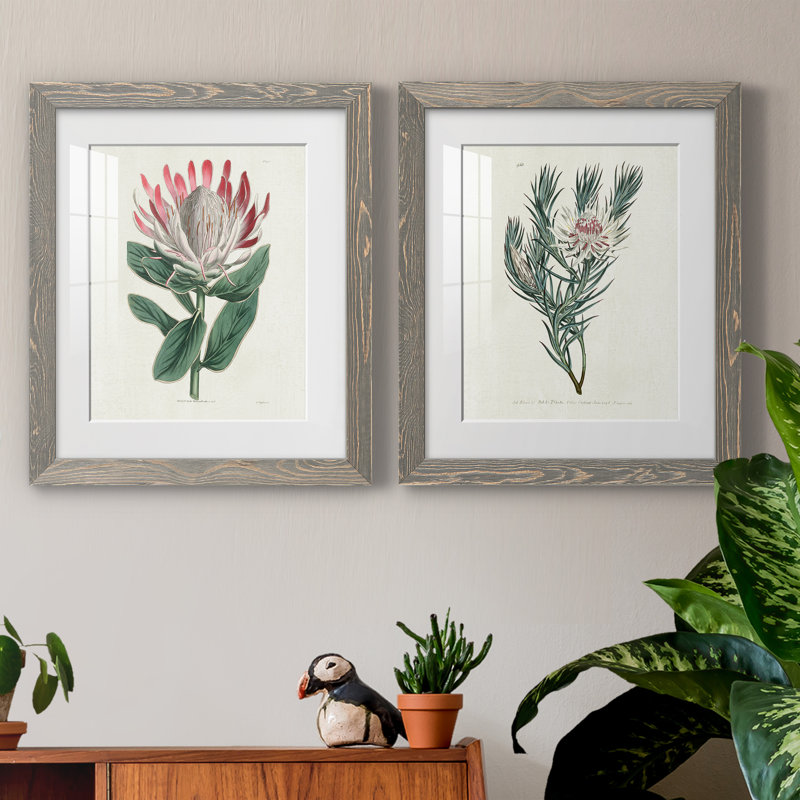 " Protea N13 " 2 - Pieces, 20" H x 34" W x 1.5" D, Gray Framed Paper